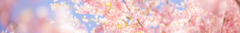 Banner de la categoría Spring Vibes 