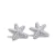 Aretes Estrella de Mar en internet