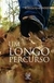 Um Longo Percurso - Autor: Rodolfo Konder (2014) [usado]