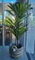 Planta Artificial Palo de Agua 120cm