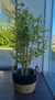 Planta Artificial Bambú 120cm