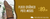 Imagem do banner rotativo 2
