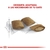 ROYAL CANIN AGEING 12+ X 1.5kg en internet