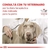 ROYAL CANIN HEPATIC CANINE x1.5kg - tienda online