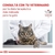 ROYAL CANIN HEPATIC FELINE x1.5kg - tienda online