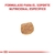 ROYAL CANIN URINARY S/O x1.5kg en internet