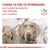 ROYAL CANIN URINARY S/O x1.5kg - tienda online