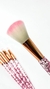Set de brochas con glitter - comprar online