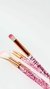 Imagen de Set de brochas con glitter