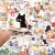 Set x50 Stickers 64 -3 en internet