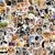 Set x100 Stickers 22 -3