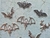 Set dijes Bats x6 pares -3