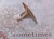 Imagen de Anillo Portal -5
