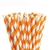 Canudo de Papel- Laranja- 20 unidades