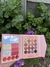 Paleta Barbie - comprar online