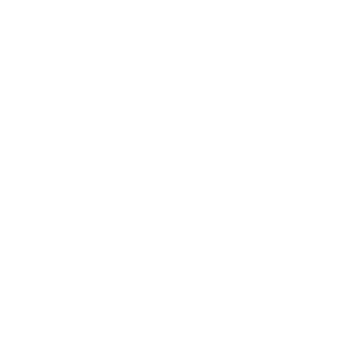Raven