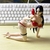 One Piece Boa · Hancock Action Figure, PVC carro Ornamentos, Bikini Sexy Girl Decorações, roupas destacáveis, Coleção Modelo Brinquedos, 12cm na internet