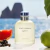 Dolce Gabbana Light Blue Men Edt 200 Ml en internet
