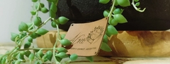 Banner de la categoría Macetas grandes