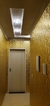 Papel de Parede Arabesco 3D Dourado Ideale na internet