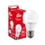 Lâmpada Bulbo Led 9w Branco Bivolt Kian