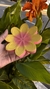 PORTA SAHUMERIO DE YESO FLOR - comprar online