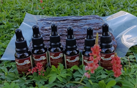 Kit 6 Própolis Vermelha 30 ml