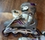 Rollers Mongoose - comprar online
