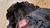 Campera GRISINO - comprar online