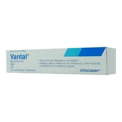 VANTAL GEL 60 G