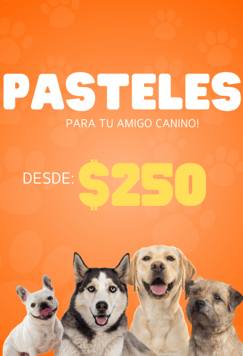Carrusel 1