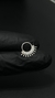 Piercing Lory