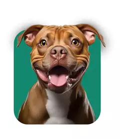Banner da categoria PARA CÃES