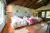 CASA DE CAMPO, Sinsacate Córdoba. - tala.inmuebles