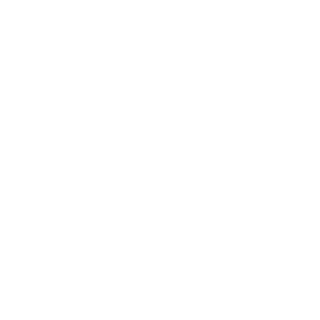 CyR Cueros
