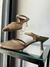 Mule Anna