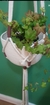 Suporte de plantas elegante