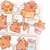 Adesivos Pet capivara fofa na internet