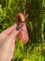 Gloss Labial Jasmyne - 6 na internet