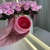 Máscara labial + Esfoliante Labial Amor Anjo na internet
