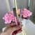 Kit Gloss + Lápis de Boca Bobbi Rara na internet