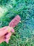Palo Santo Stick Lollipop - Rosa Rubra com Rosa Damascena