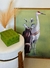 O CADDIE DA NATUREZA