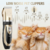 Imagem do Kit Máquina Tosa Dourada Pets Cachorro Tosar Cães Gatos Profissional