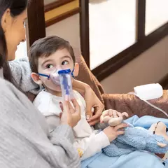 Nebulizador Inalador de Ar Comprimido Adulto e Infantil Dellamed - loja online