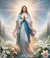 Capa Personalizada nossa senhora das graças