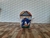 Festa Personalizada Menino sonic na internet