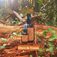 Home Spray Pocket - Ginger Lemon - tienda online