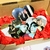Box1 San Valentin en internet