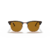 Anteojos de sol RAY BAN 3016 CLUBMASTER 1309/33 - comprar online